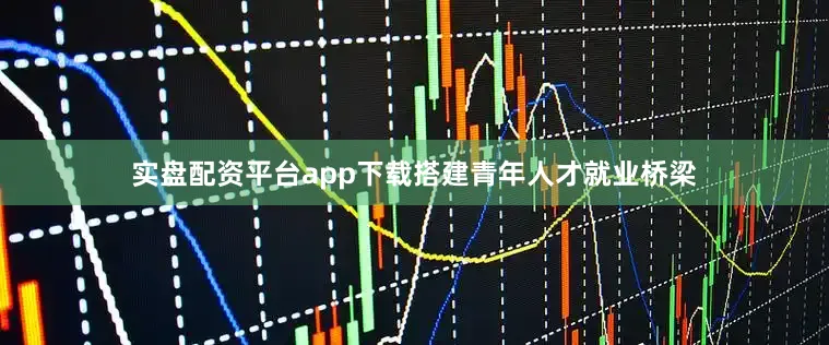 实盘配资平台app下载搭建青年人才就业桥梁