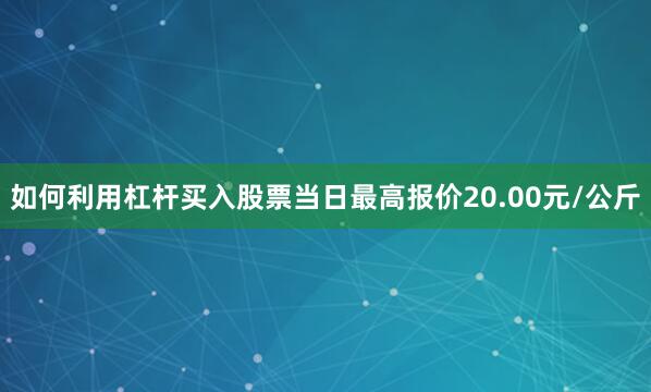 如何利用杠杆买入股票当日最高报价20.00元/公斤