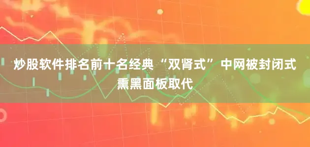 炒股软件排名前十名经典 “双肾式” 中网被封闭式熏黑面板取代