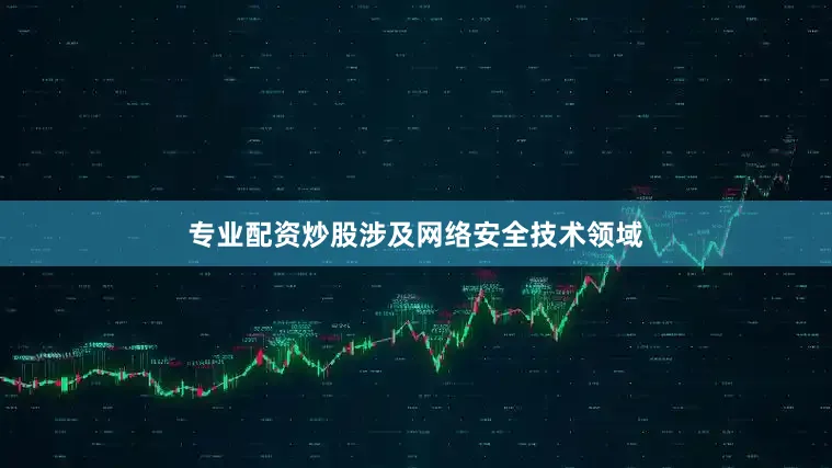 专业配资炒股涉及网络安全技术领域